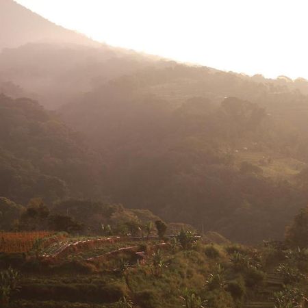 Pondok Kebun Gunung Bedugul  Exterior foto